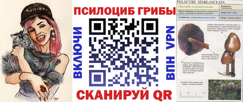 Галлюциногенные грибы мухоморы  мега ONION  Агрыз  цены  
